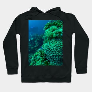 Red Sea Coral Reef Hoodie